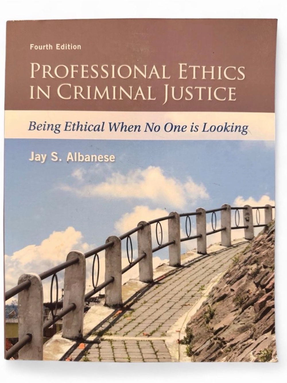 Professional Ethics in Criminal Justice by Jay S. Albanese